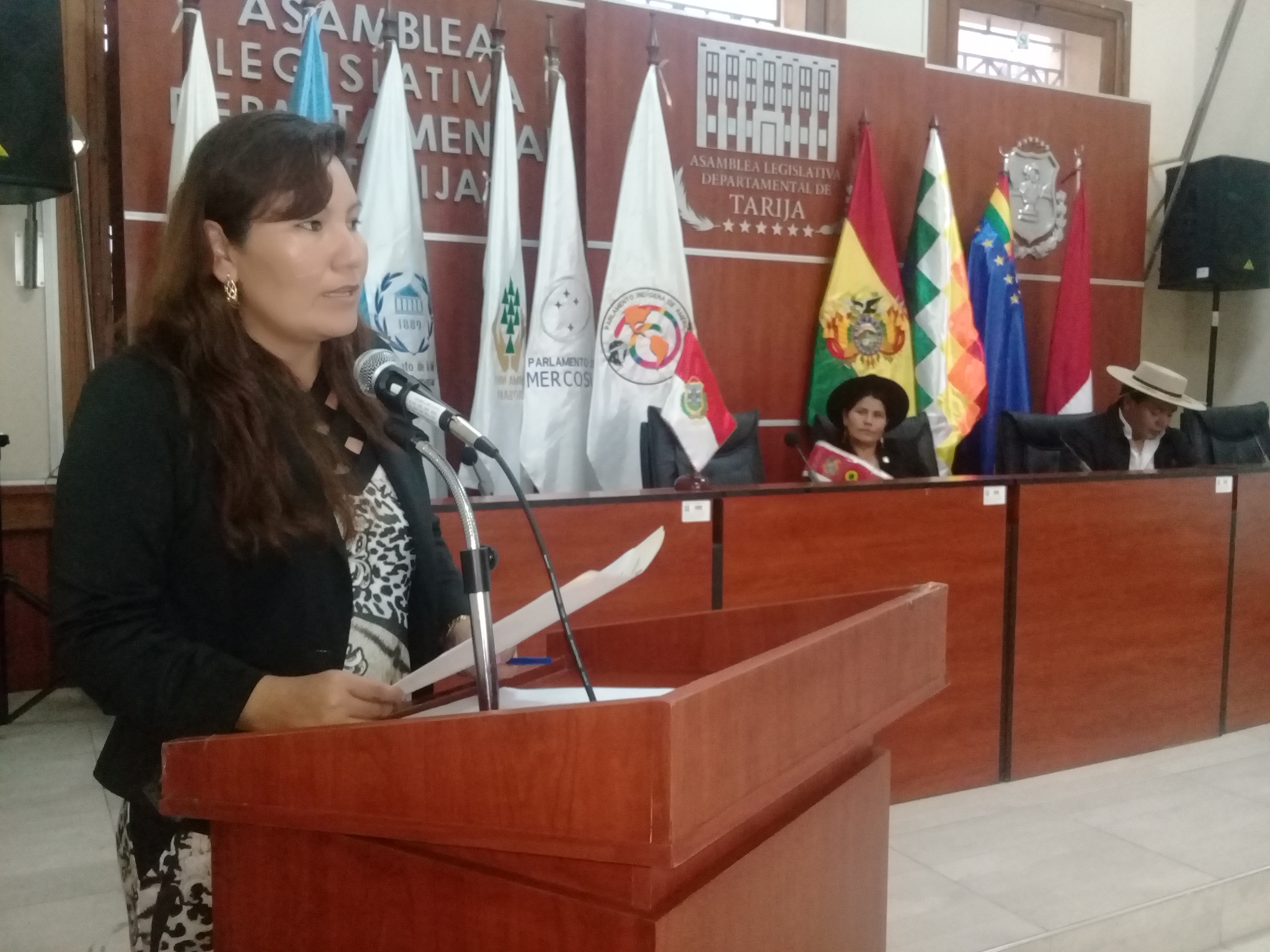 Supraestatales aprueban homenaje por el “Día de la Niñez del Estado Plurinacional de Bolivia”
