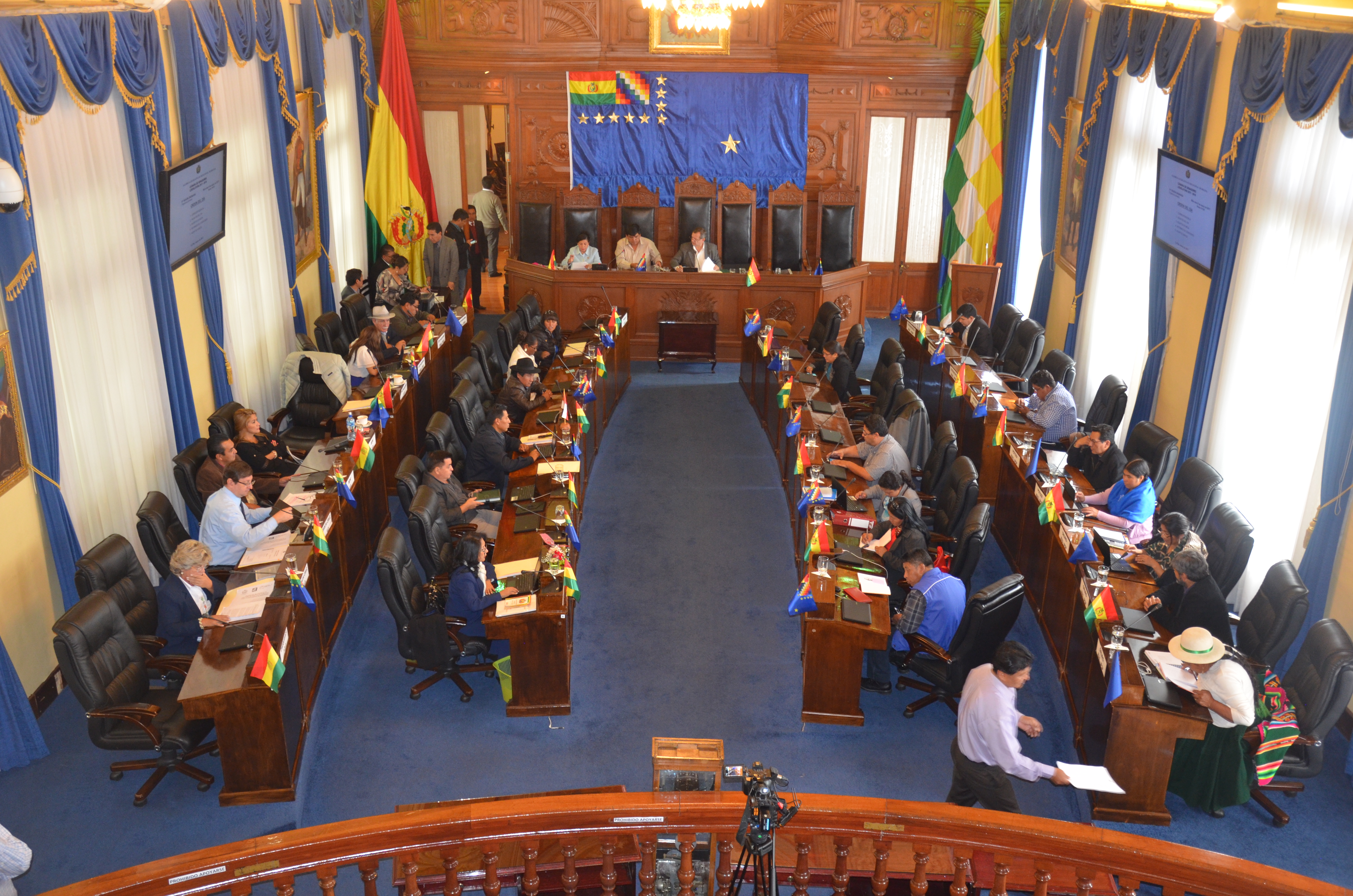 Senado rechaza maniobras y agravios contra Bolivia en la OEA