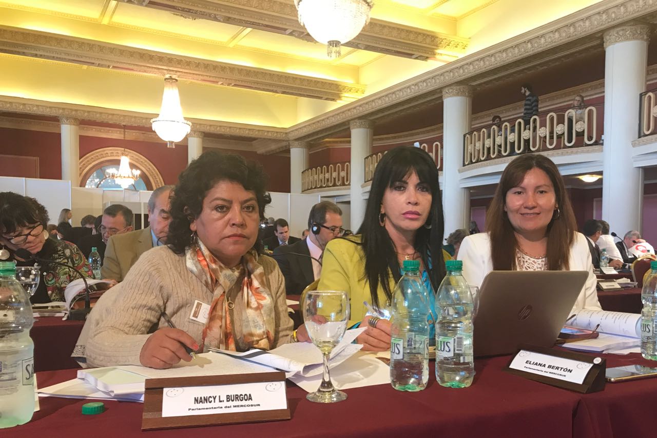 Supraestatales participan en el Parlamento del MERCOSUR