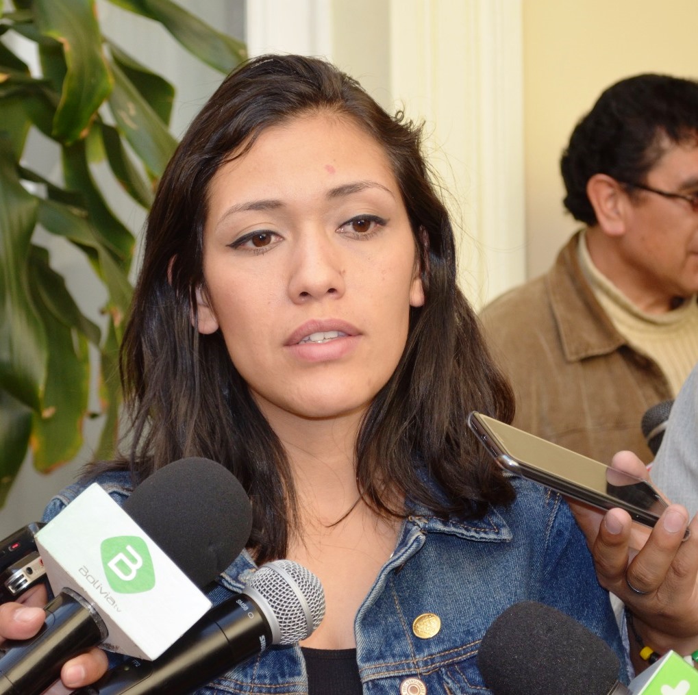 Salvatierra: Carlos Mesa encabezaba las negociaciones del cuoteo partidario del Órgano Judicial