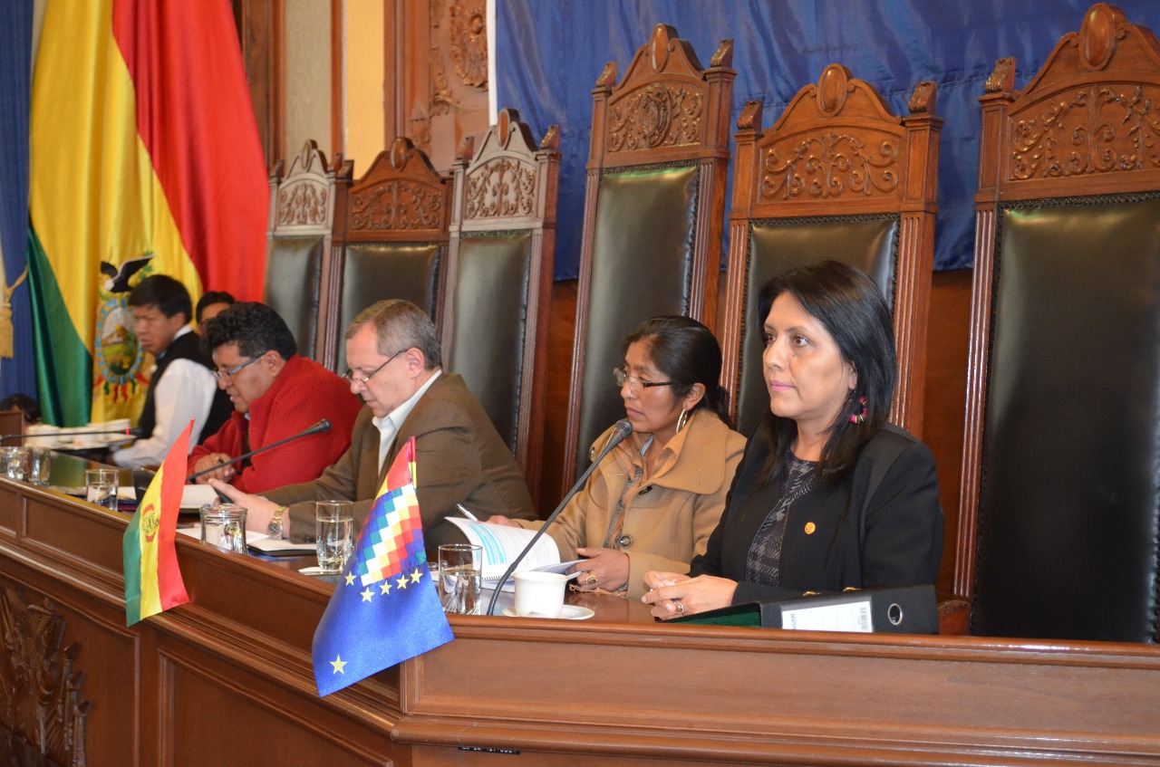 Ministra de Comunicación presentó informe oral ante el pleno del Senado por el programa PRONTIS