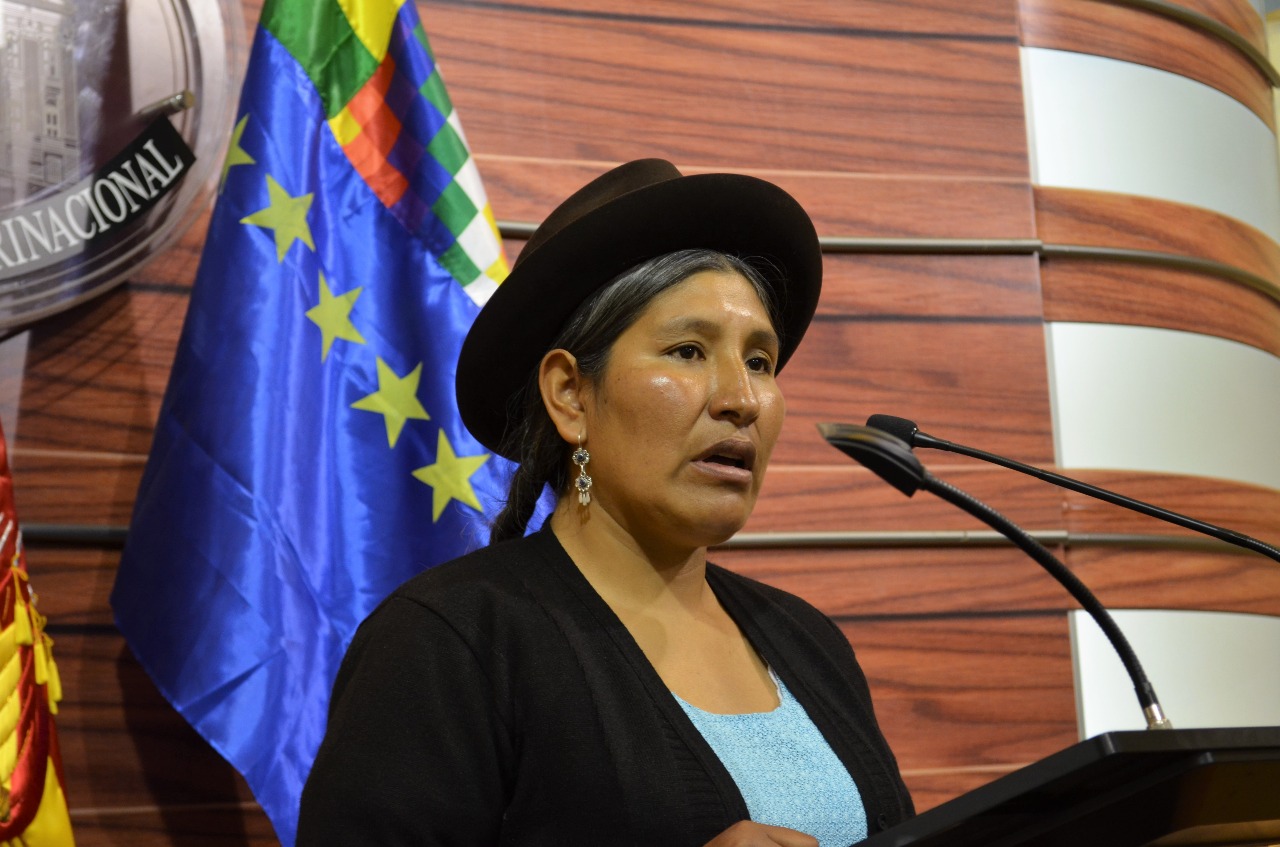 Senadora Chiri llama a la población a hacer cumplir leyes contra el racismo y discriminación