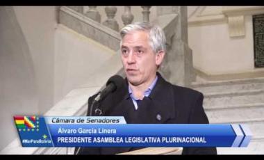 Embedded thumbnail for García Linera pedirá a ALP conformar Comisión que investigue Panamá Papers