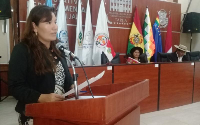Supraestatales aprueban homenaje por el “Día de la Niñez del Estado Plurinacional de Bolivia”