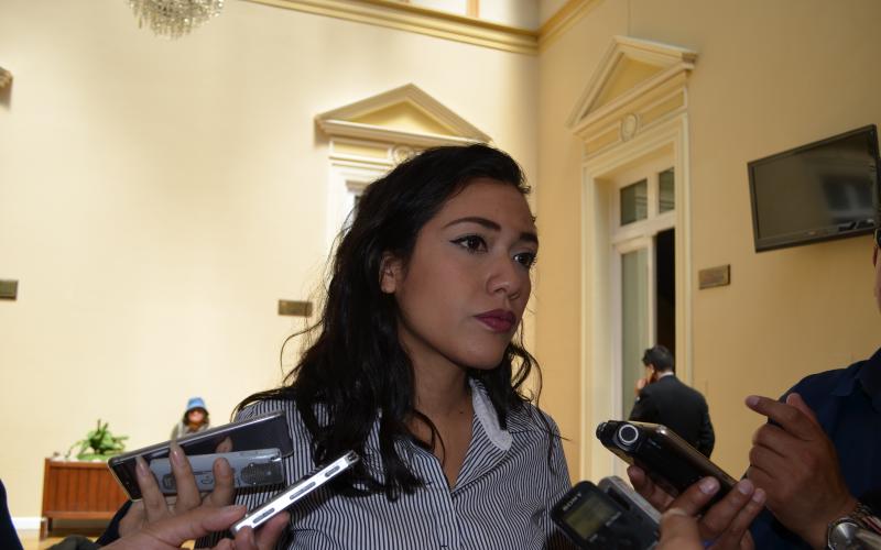 Senadora Salvatierra aboga porque se restituyan regalías de Incahuasi a Santa Cruz