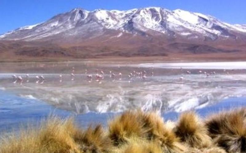 Senado aprueba homenaje a la provincia Nor Lípez por su 131 aniversario de creación