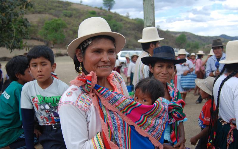 Senado aprueba homenaje a la “Mujer Rural” de Bolivia