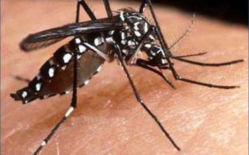 Elevan Arango Ley el DS 2670 que aprueba la EGI de prevención y control del Dengue, Chikungunya y Zika 2016 - 2018
